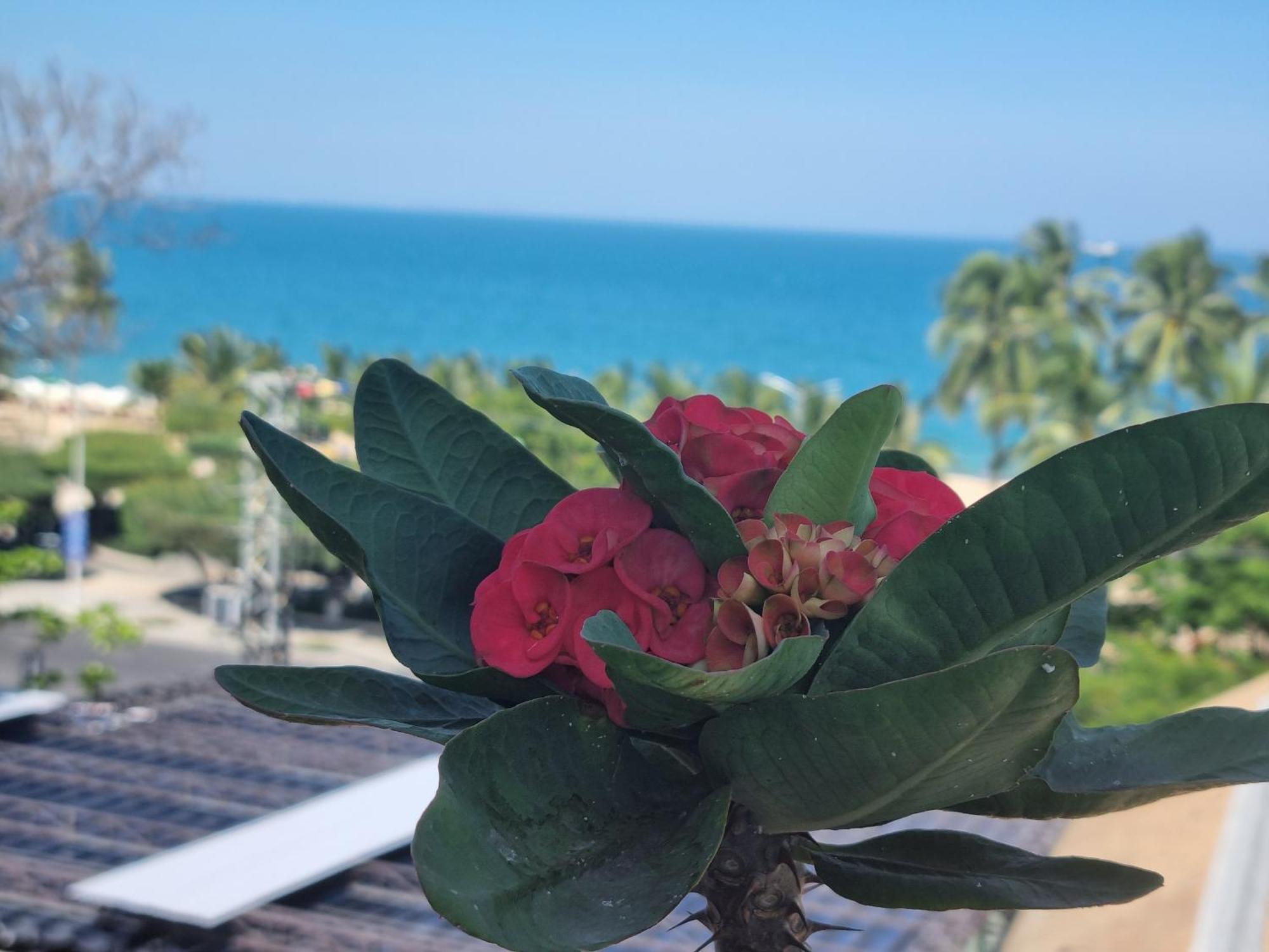 Pho Bien Hotel 芽庄 外观 照片